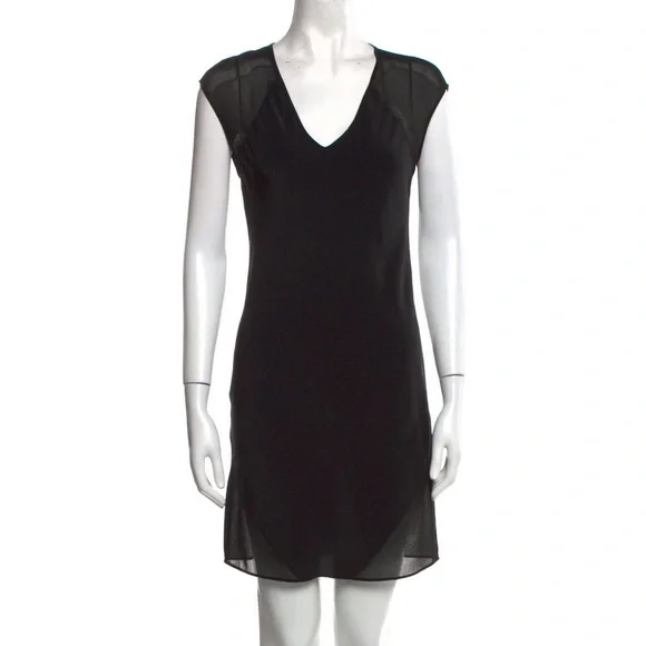 alexander wang see through dress
